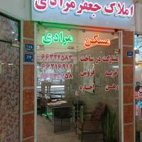 خانم زارع پروفایل