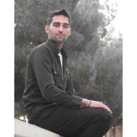 محمد عرب اسدی پروفایل