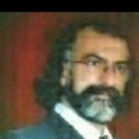 حافظ حسینی پروفایل