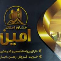 مشاور محمدمحمدزکی پروفایل