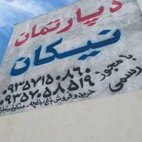 سپیده عسگری پروفایل