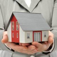 فریاد قربانی پروفایل