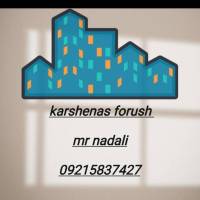 علیرضا نادعلی پروفایل