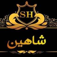 شاهین پروفایل