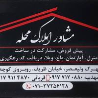امیر قربانی پروفایل