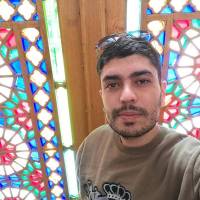 محسن مرتضوی پروفایل