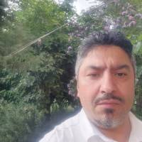 محسن انصاری  پروفایل