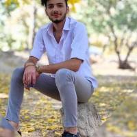 محمدرضا حافظی پروفایل