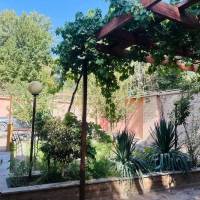 عرفان سبحانی پروفایل