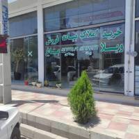 دانیال جلیلی  پروفایل