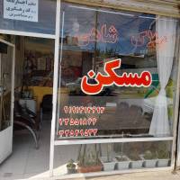 علی حسین شاهی پروفایل