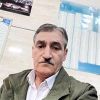 شیردل دهقان پروفایل