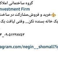 سعید طاهری پروفایل
