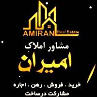امیر امینی پروفایل