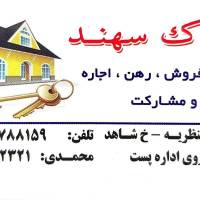 محمدی پروفایل