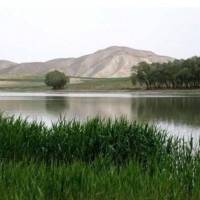 علی اکبر جاهد پروفایل