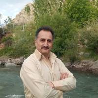 محمدرضا احمدی بانه پروفایل