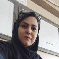 آژانس رادیکال صدرا پروفایل