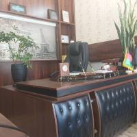 سامی مزرعه پروفایل