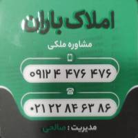 صالحی پروفایل