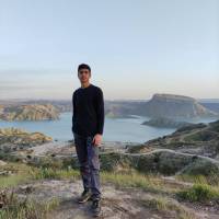 آریا کرم زاده  پروفایل