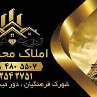 مهدی محمدی  پروفایل