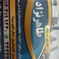 امیرمحامد پروفایل