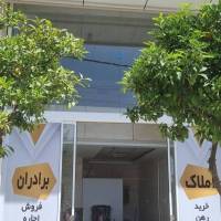 قاسم فریمی پروفایل
