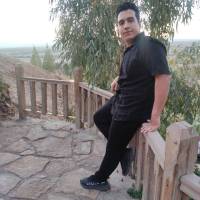 سید علی هاشمی پروفایل
