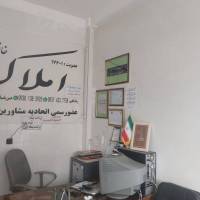 محمدرضا بابایی پروفایل
