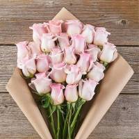 زهرا حمیدی پروفایل