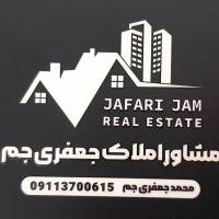 محمد جعفری جم پروفایل