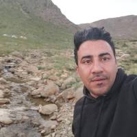 سعید ریحانی نژاد پروفایل