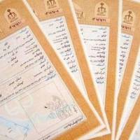 محمود محرمی مغان  پروفایل