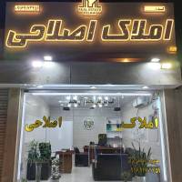مشاور محمود اصلاحی نژاد پروفایل