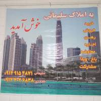 داوود سلیمانی پروفایل