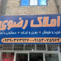 سیدهادی رضوی پروفایل