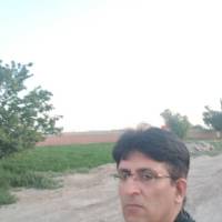 حبیب فردپور پروفایل