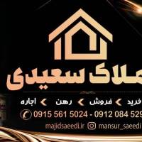 مجید سعیدی پروفایل