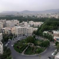 تیموریان پروفایل
