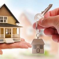 فرید تهرانی پروفایل