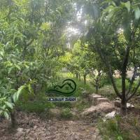 مهدی مظهری پروفایل