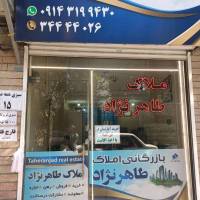 رضا محامد پروفایل