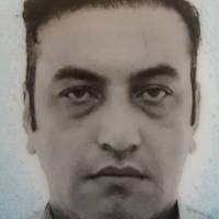 مهدی قوامی پروفایل