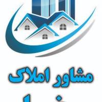 علیرضا پروفایل