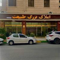 محمدرضا معافی پروفایل