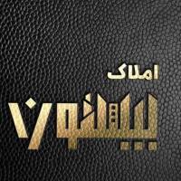 صادقیان پروفایل