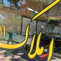 نیما غلامی پروفایل