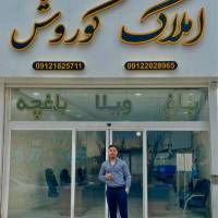 محمدمحمدی پروفایل