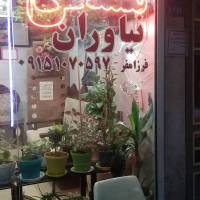 مهدی فرزام فر پروفایل